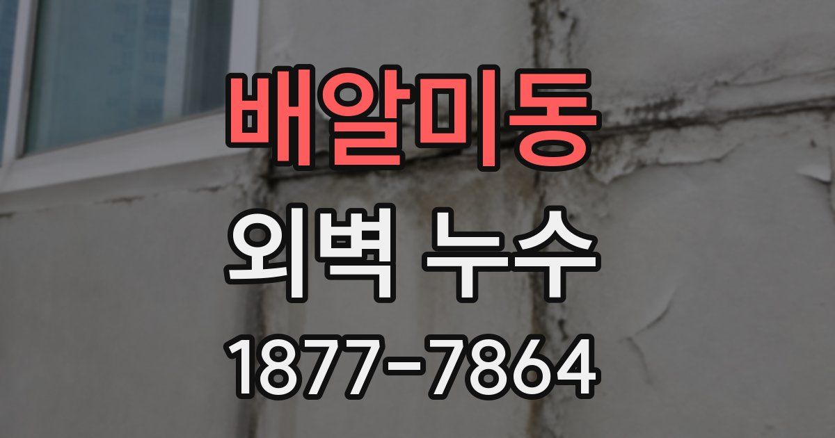 배알미동 외벽 누수
