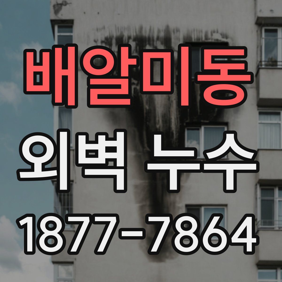 배알미동 외벽 누수