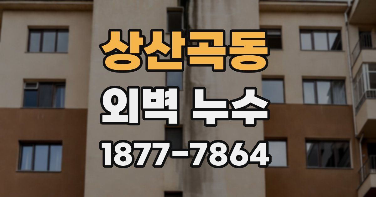 상산곡동 외벽 누수