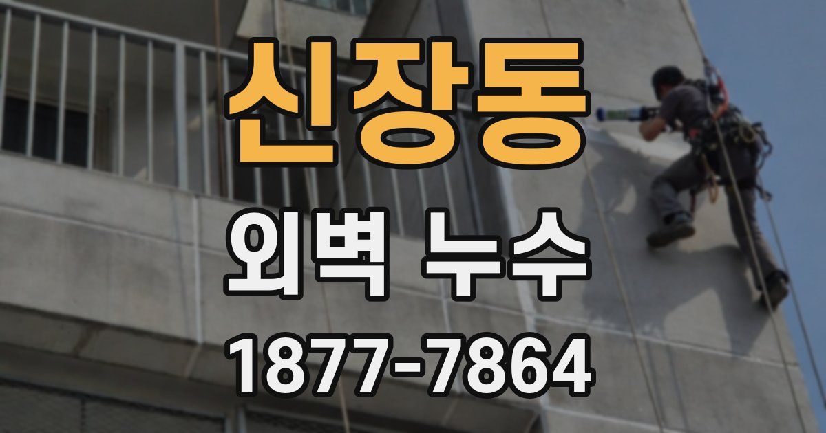 신장동 외벽 누수