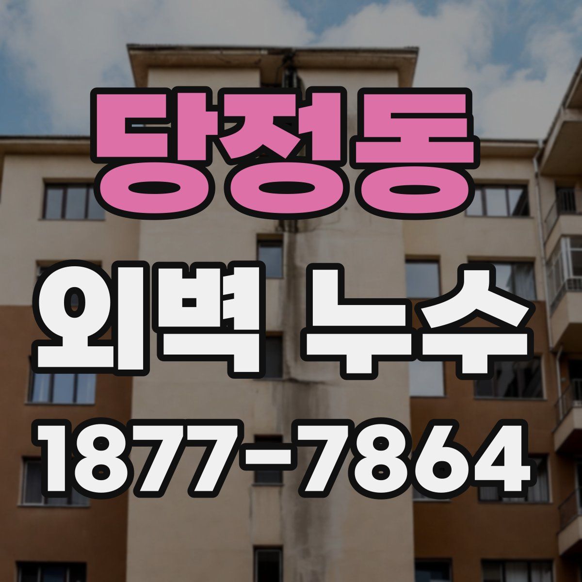 당정동 외벽 누수