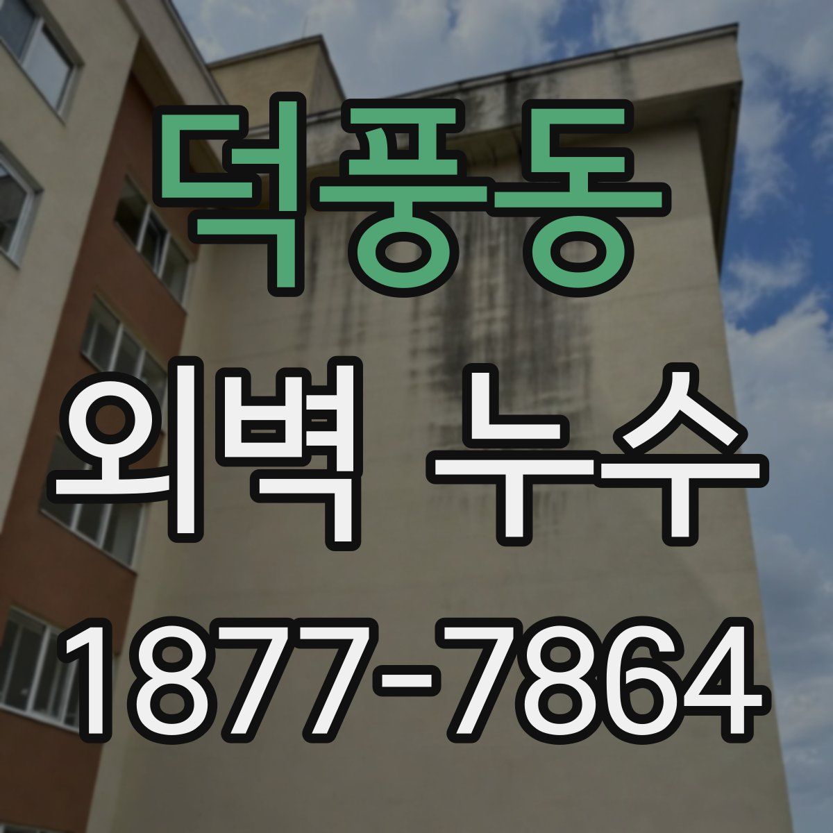덕풍동 외벽 누수