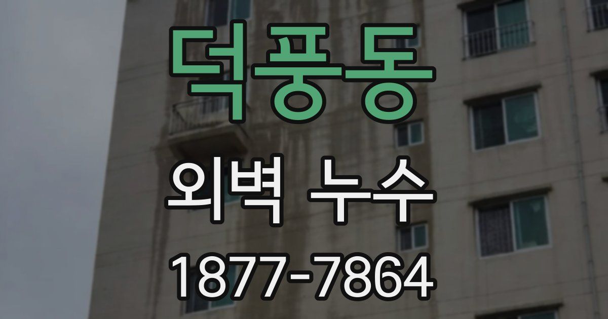 덕풍동 외벽 누수
