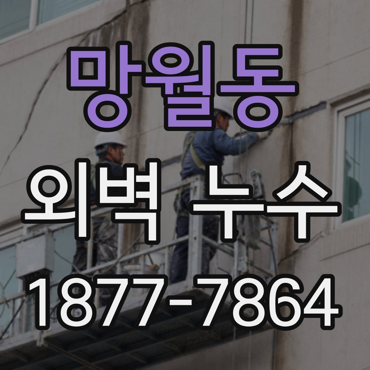 망월동 외벽 누수