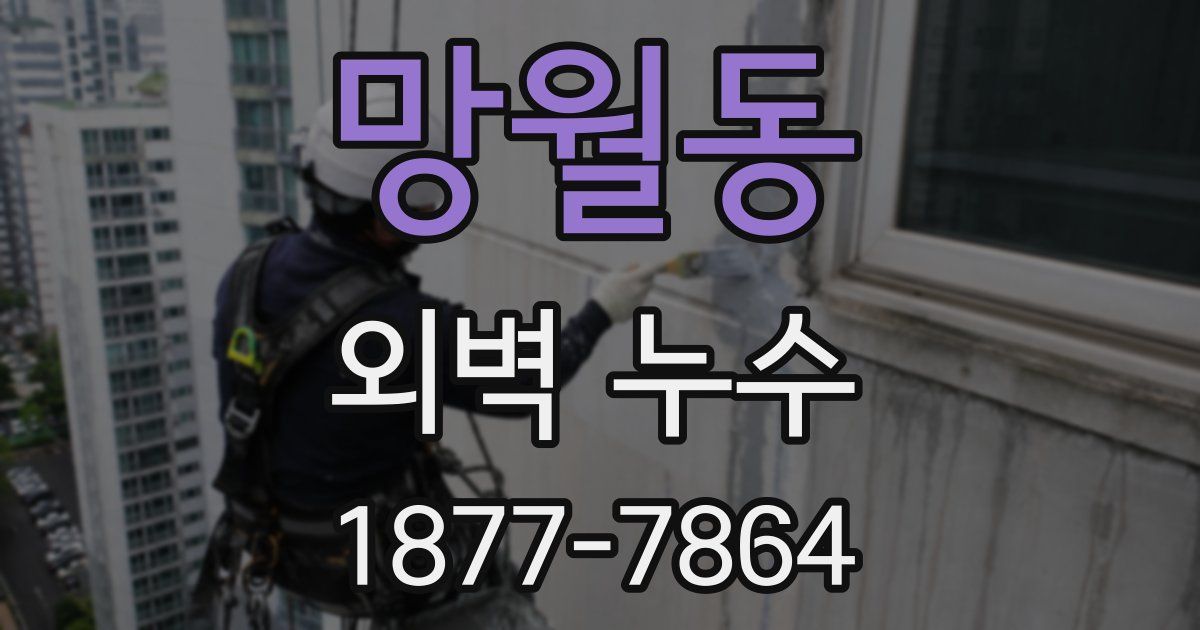 망월동 외벽 누수