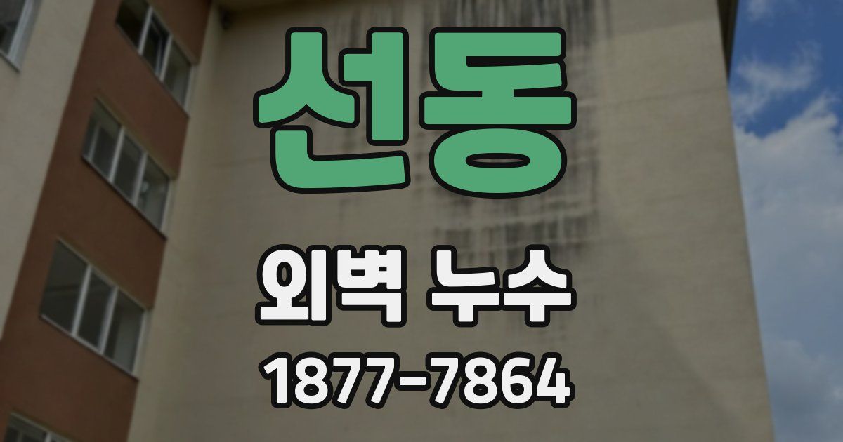 선동 외벽 누수