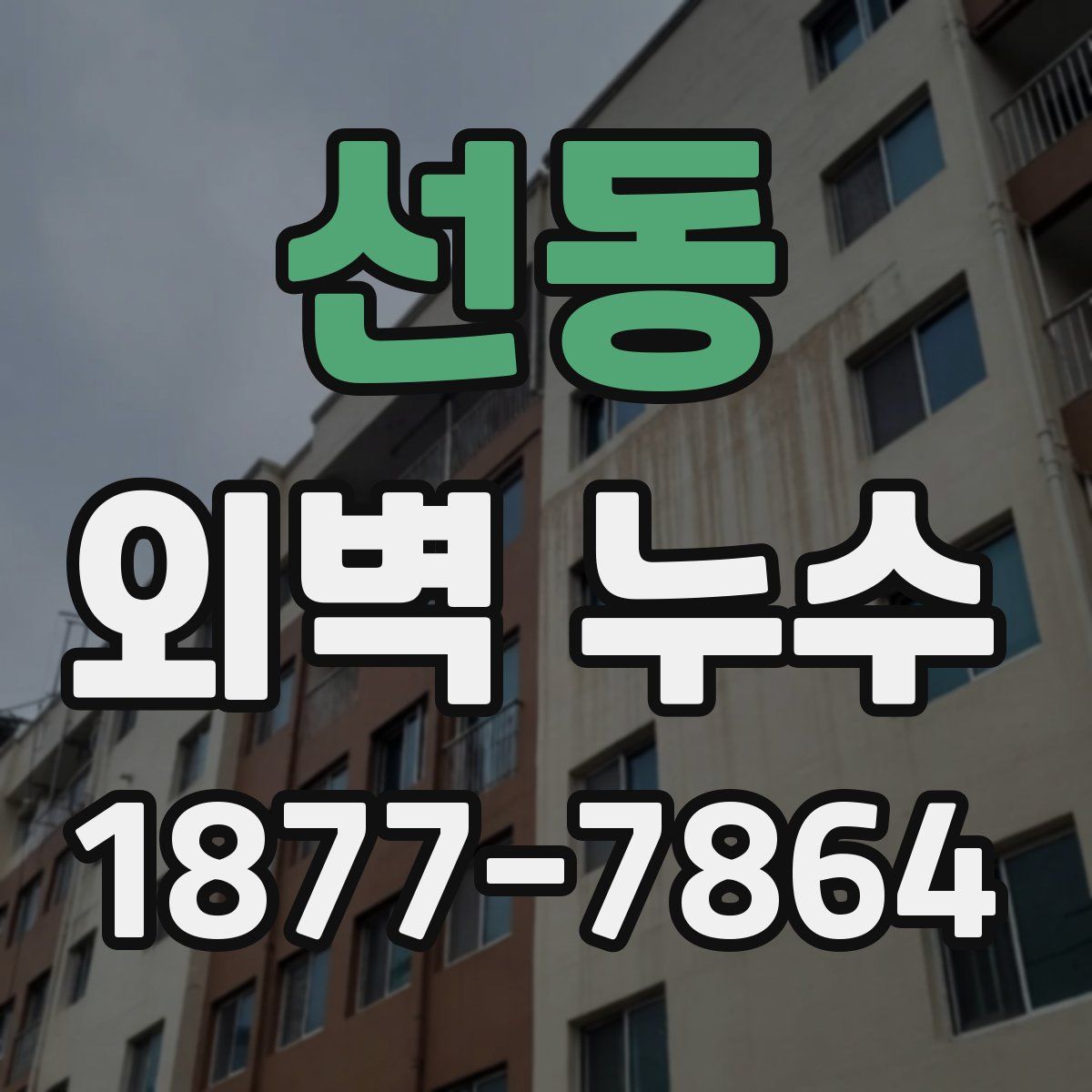 선동 외벽 누수