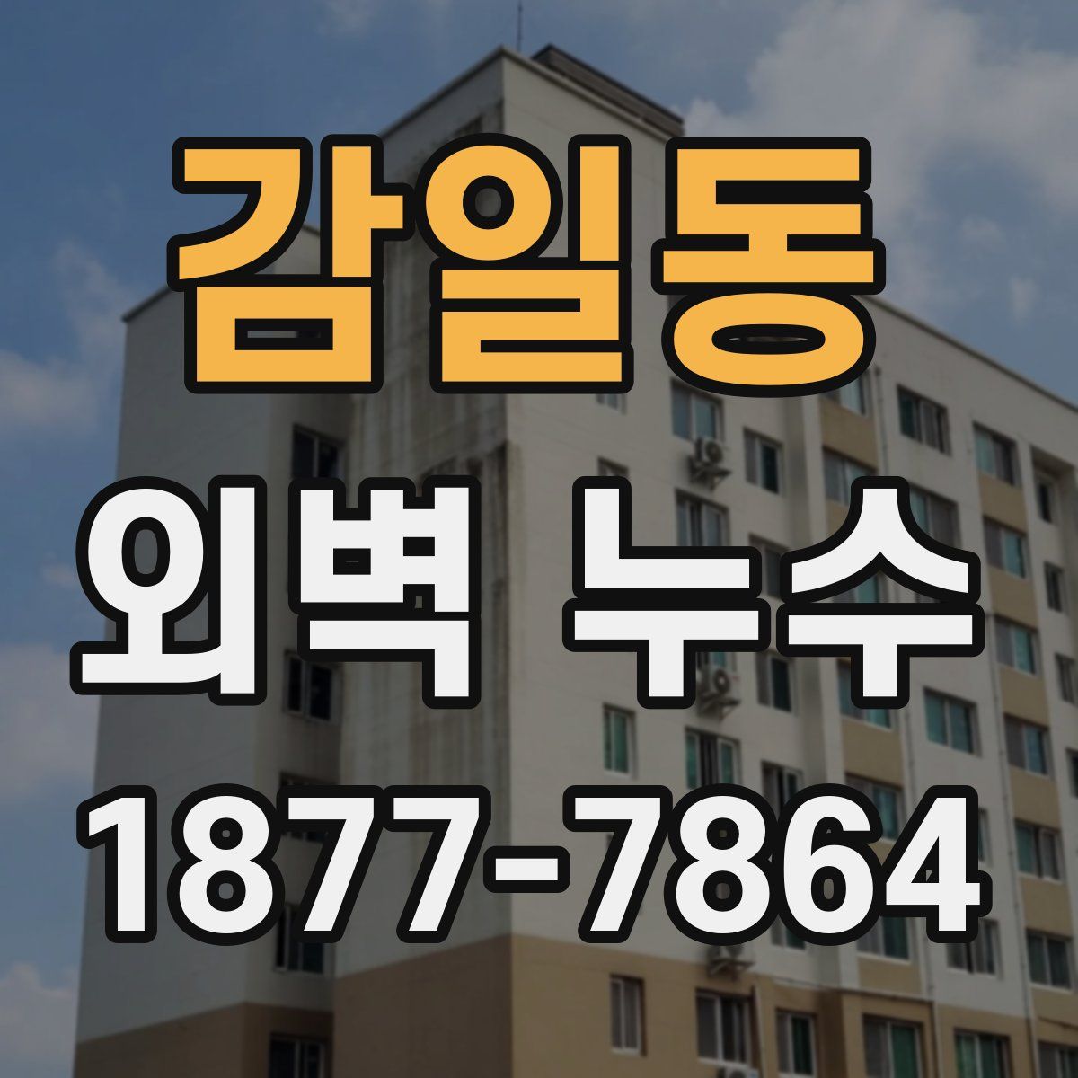 감일동 외벽 누수