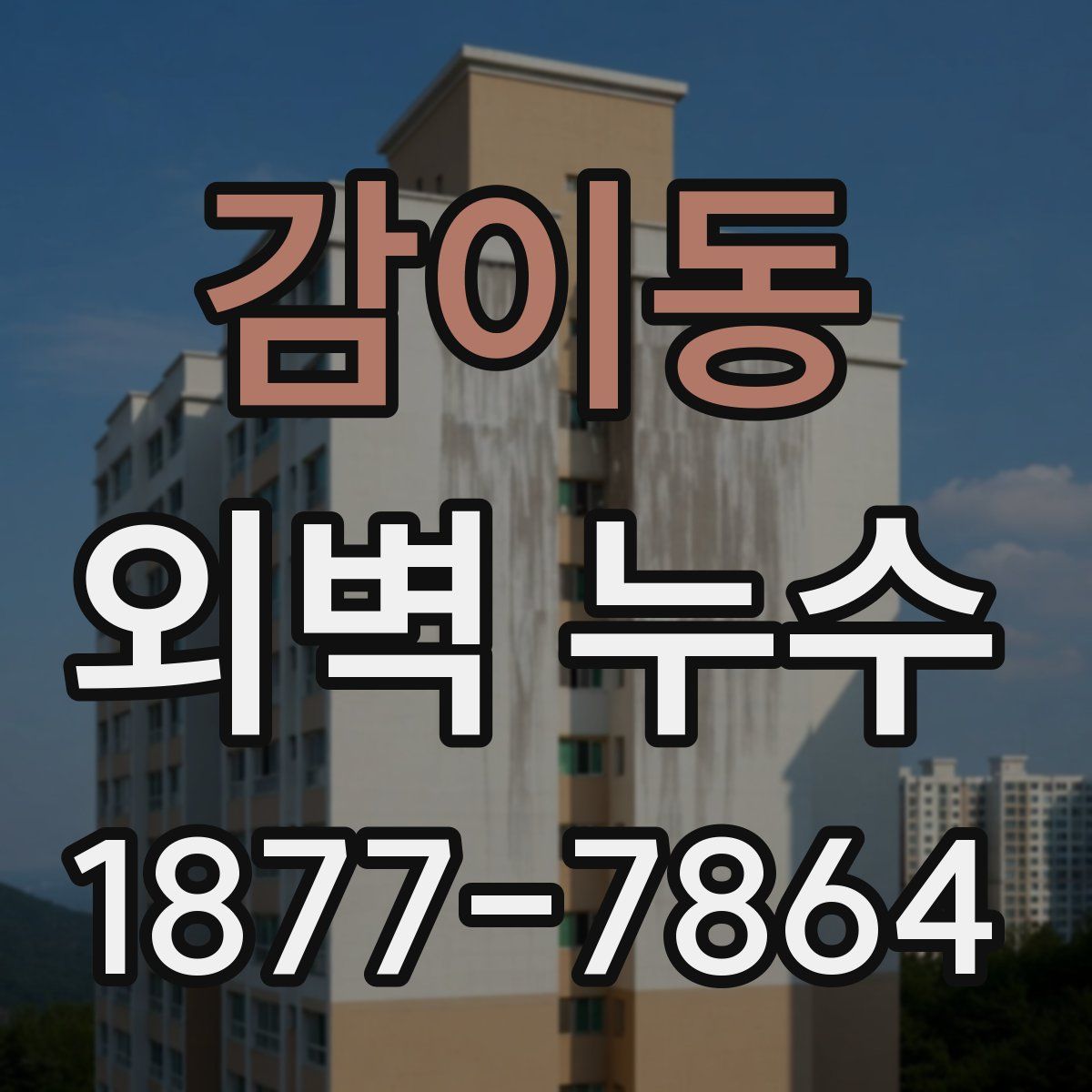 감이동 외벽 누수