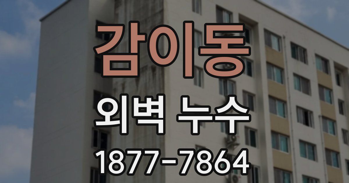 감이동 외벽 누수