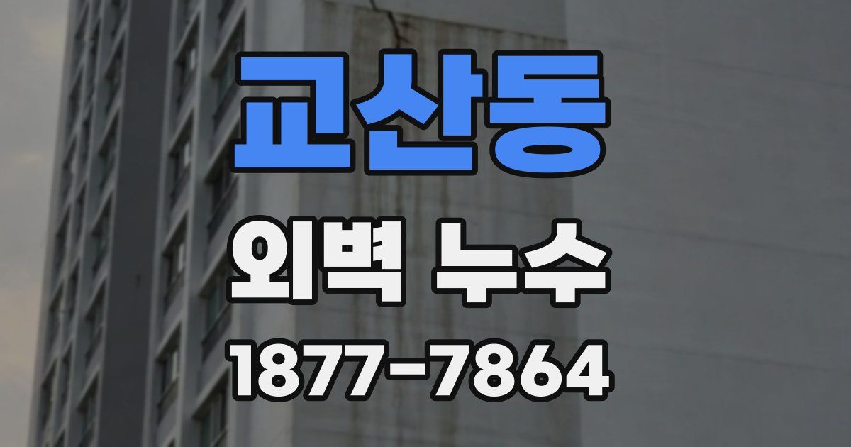교산동 외벽 누수