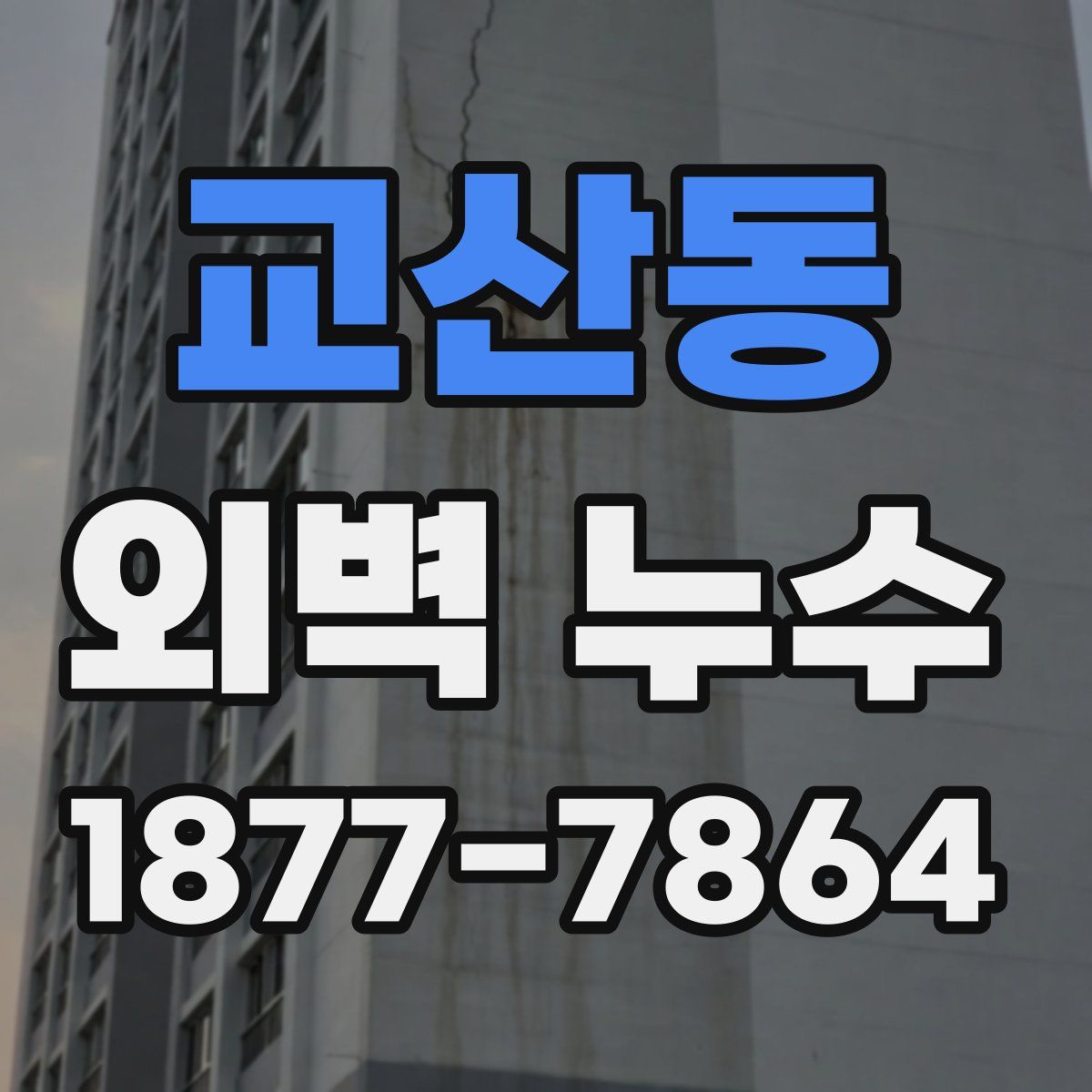 교산동 외벽 누수