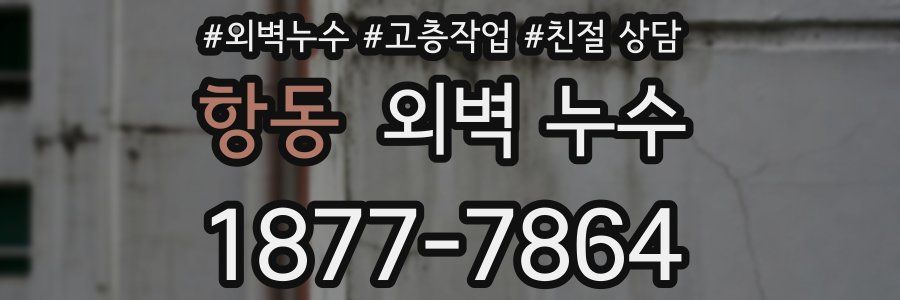 항동 외벽 누수