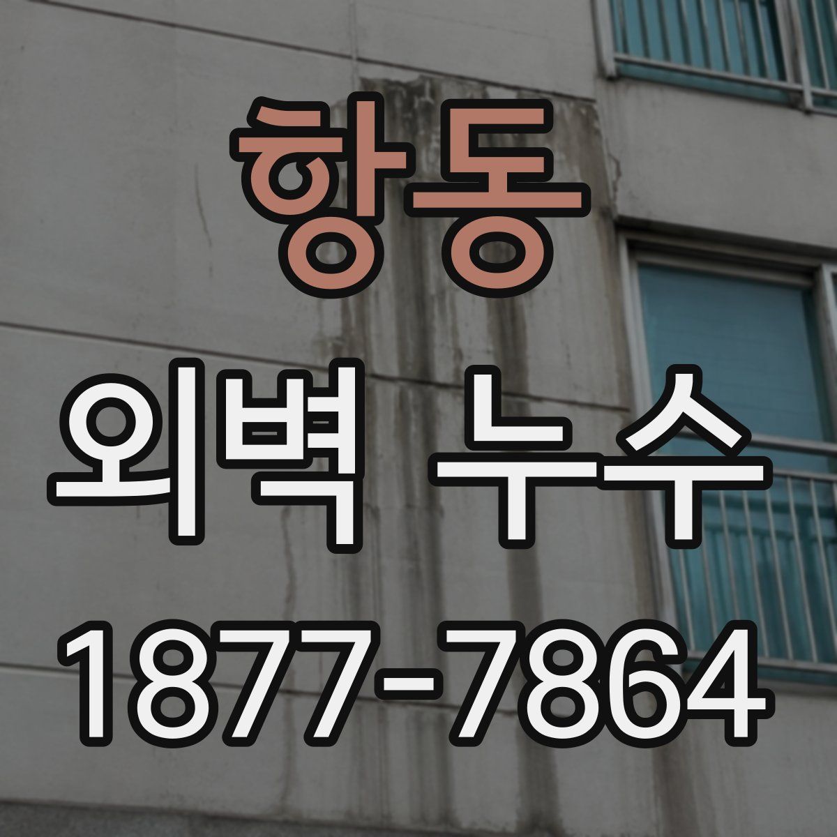 항동 외벽 누수