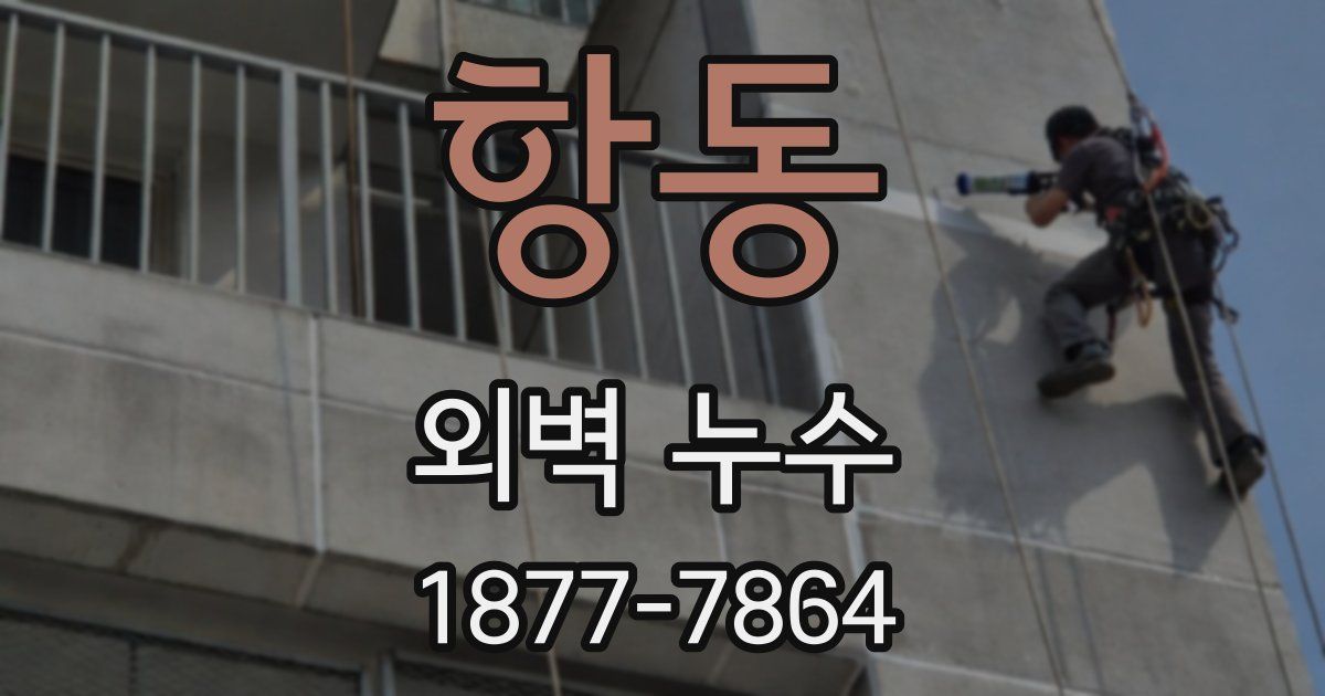 항동 외벽 누수