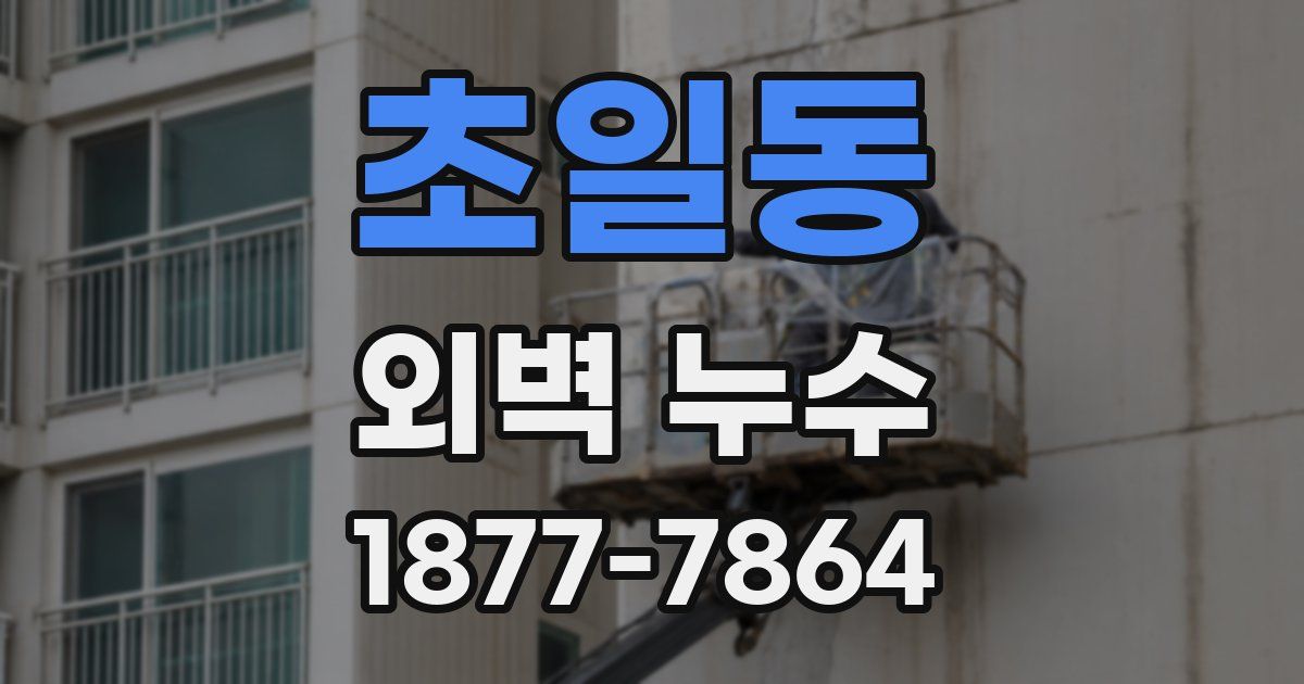 초일동 외벽 누수