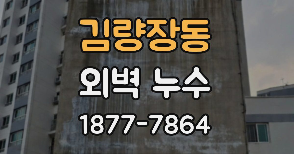 김량장동 외벽 누수