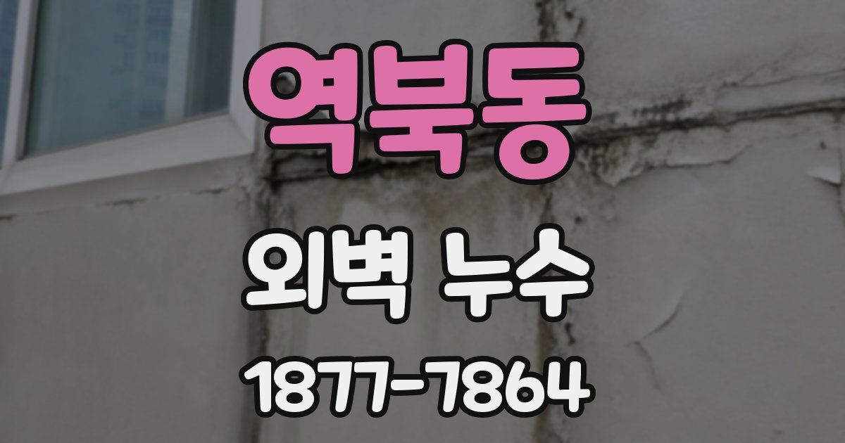 역북동 외벽 누수