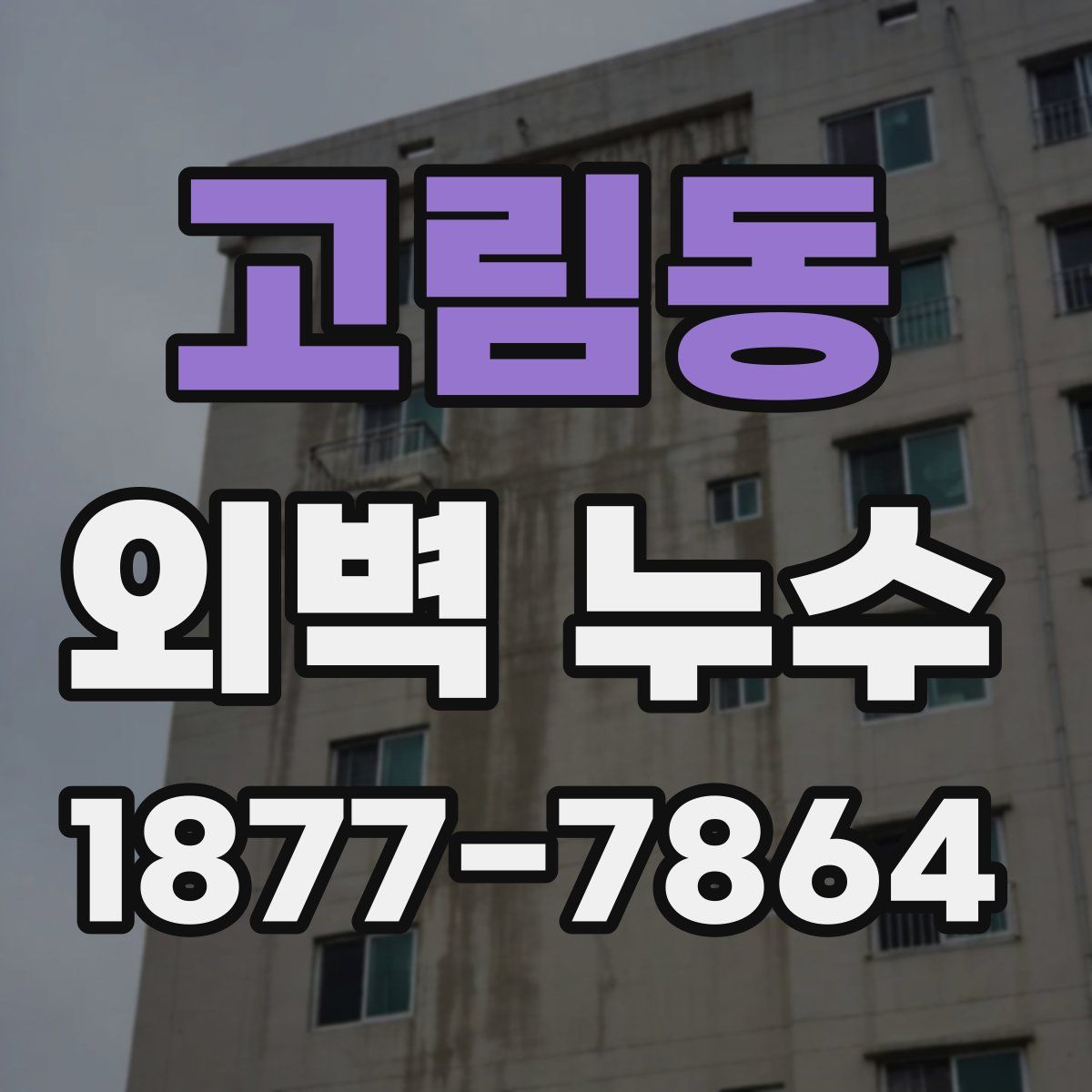 고림동 외벽 누수