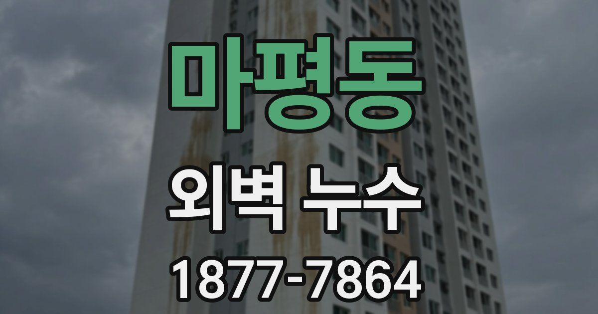 마평동 외벽 누수