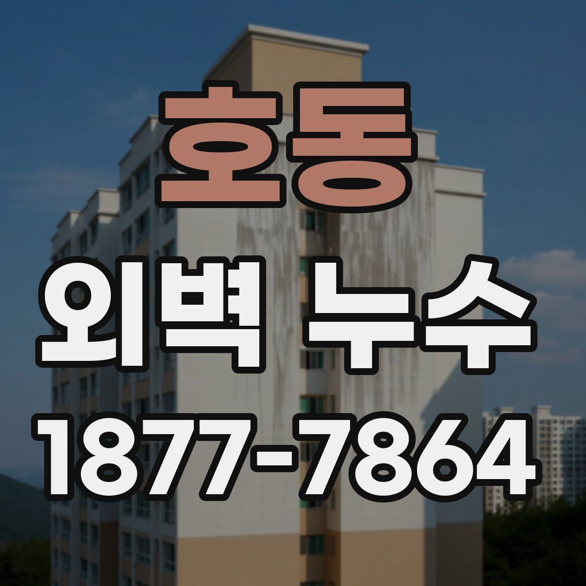 호동 외벽 누수