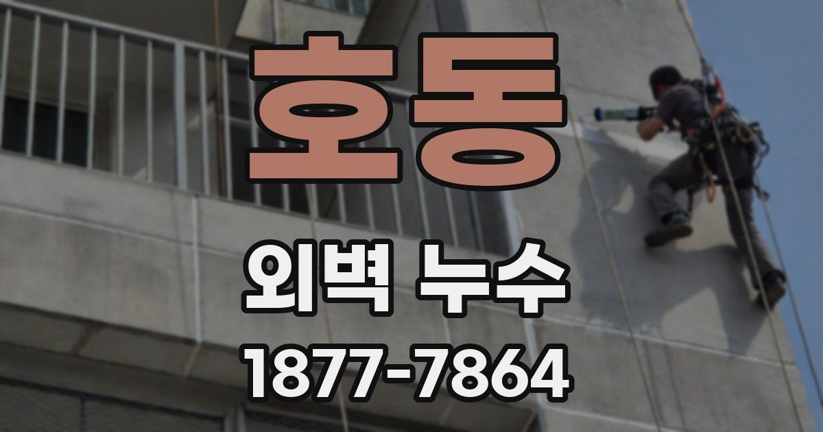 호동 외벽 누수