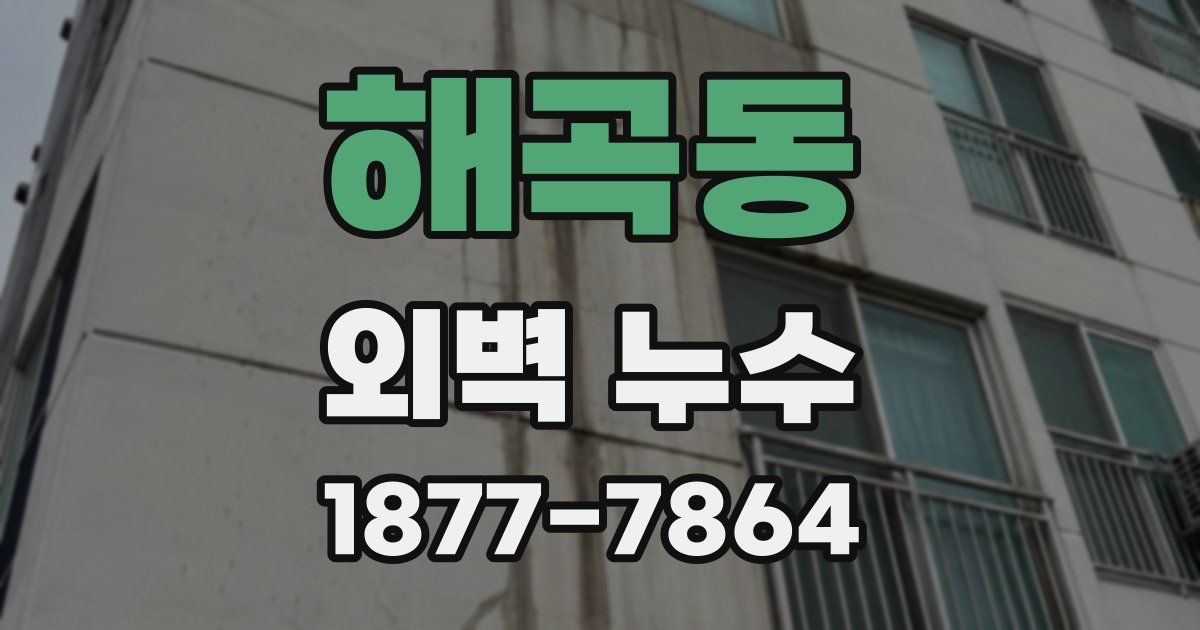 해곡동 외벽 누수