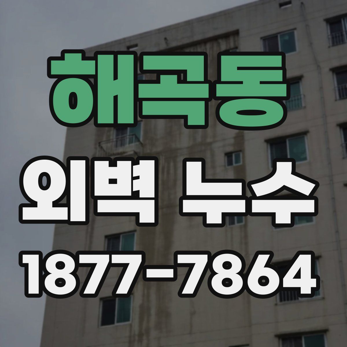 해곡동 외벽 누수
