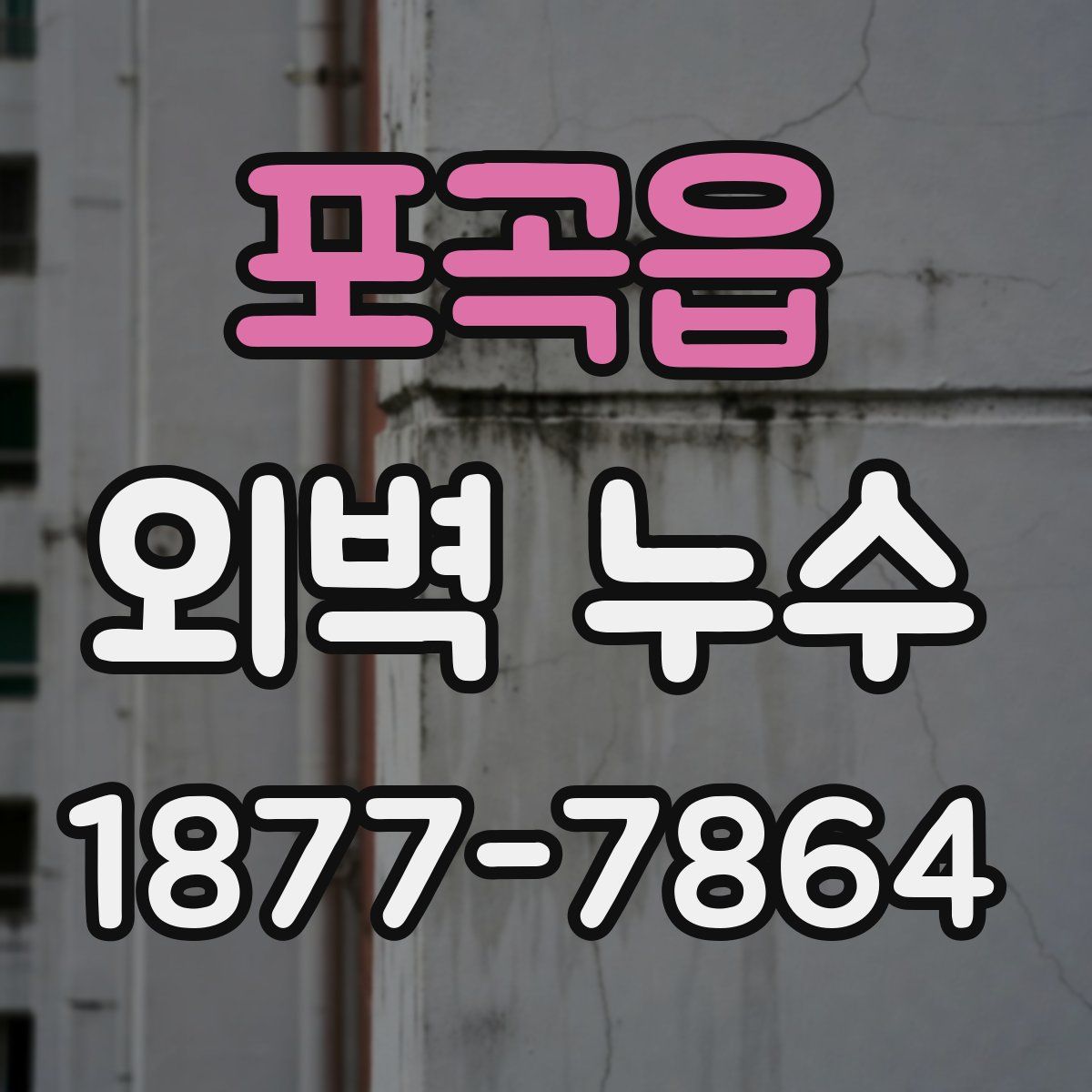 포곡읍 외벽 누수