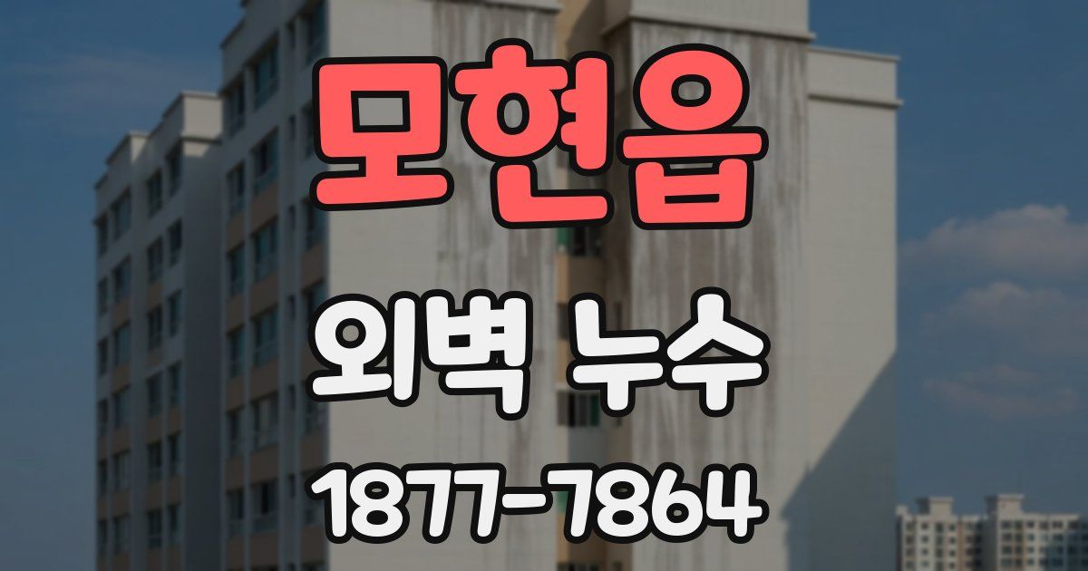 모현읍 외벽 누수