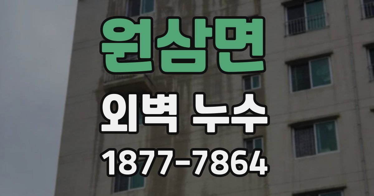원삼면 외벽 누수