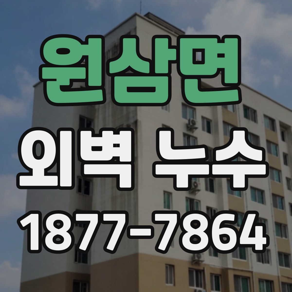 원삼면 외벽 누수