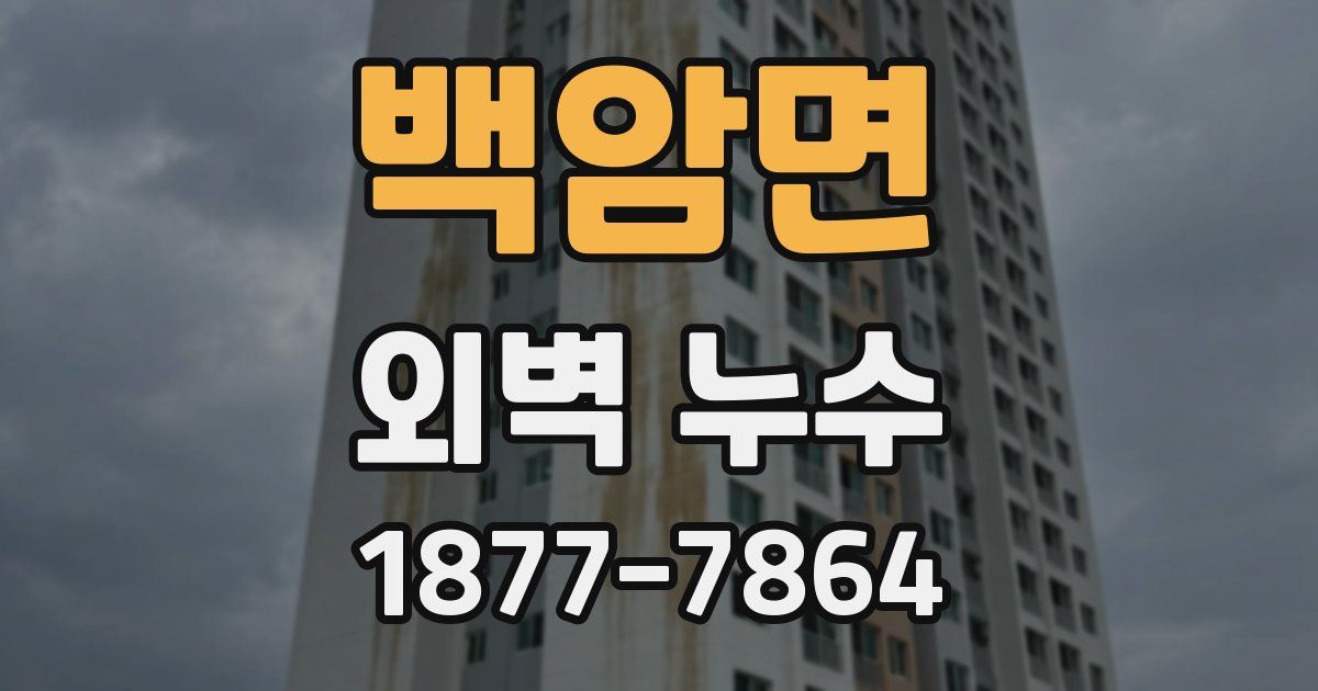 백암면 외벽 누수