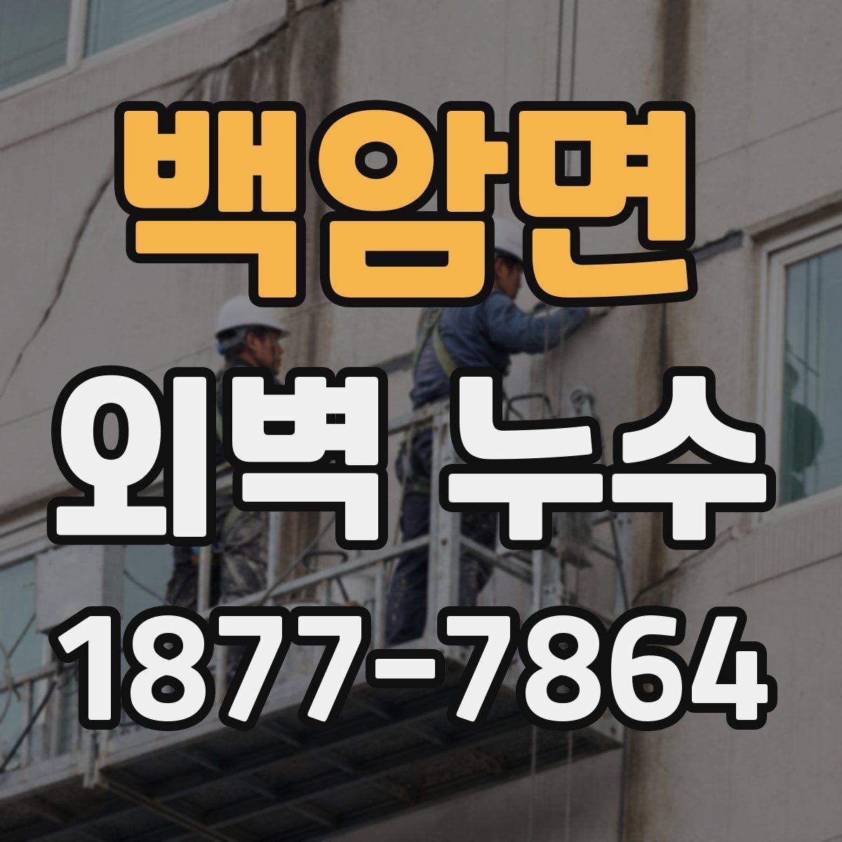 백암면 외벽 누수