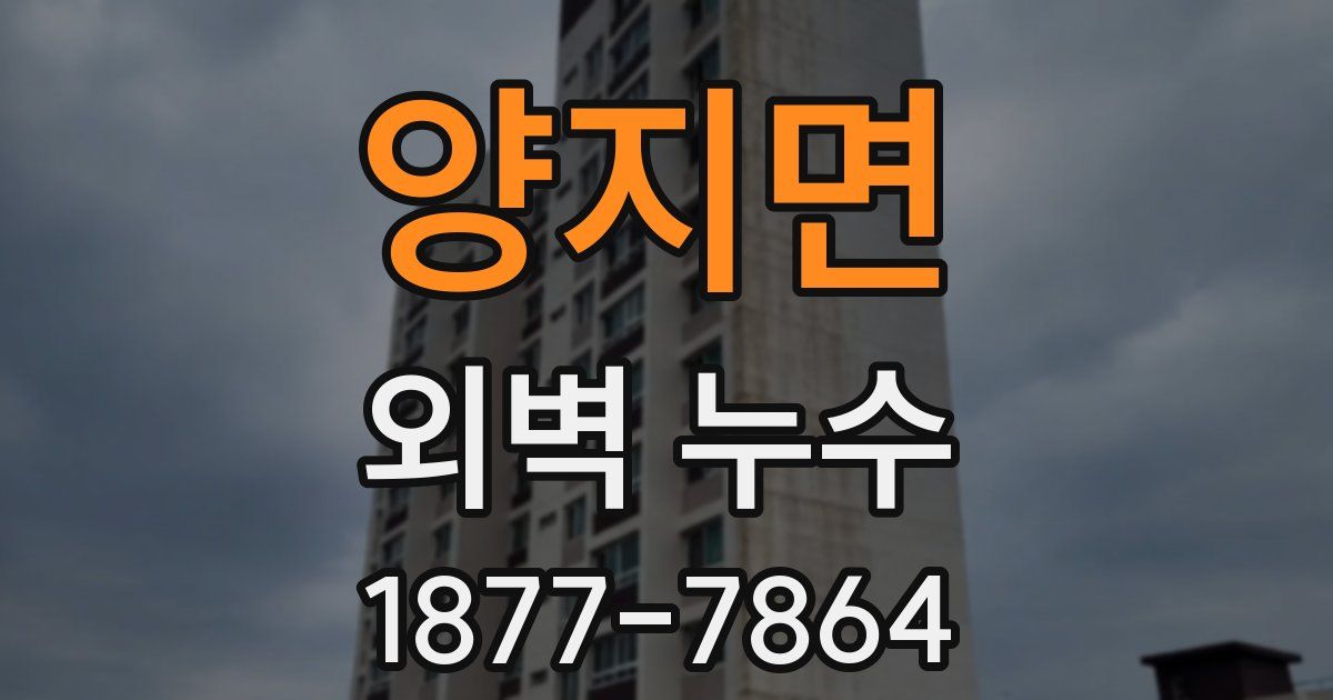양지면 외벽 누수