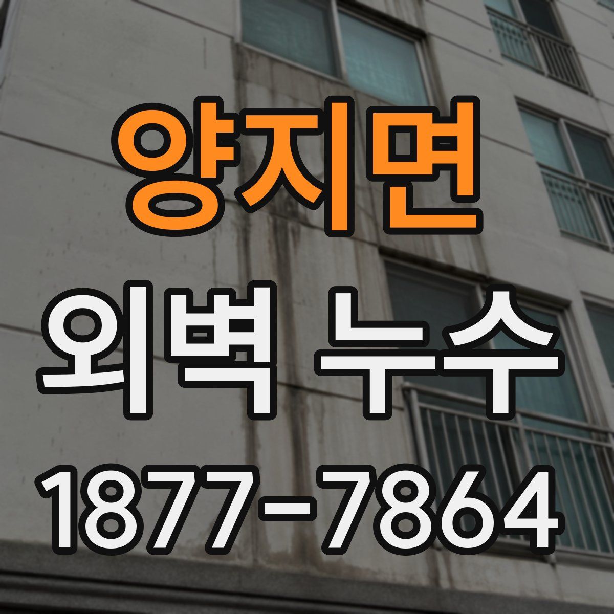 양지면 외벽 누수