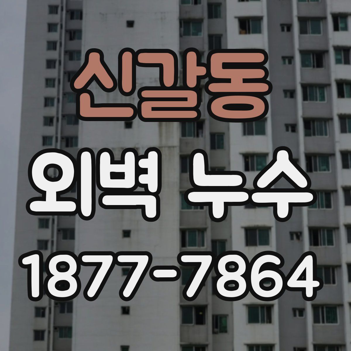 신갈동 외벽 누수