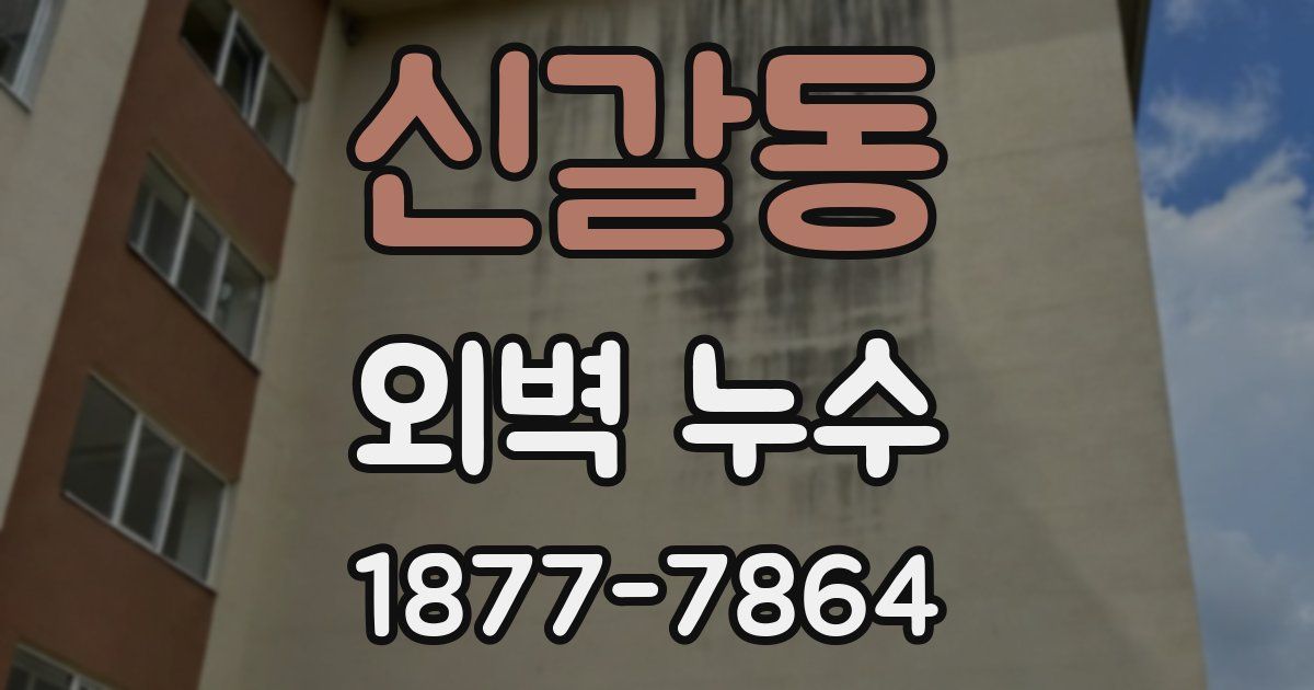 신갈동 외벽 누수