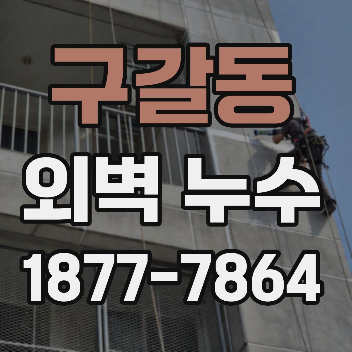 구갈동 외벽 누수