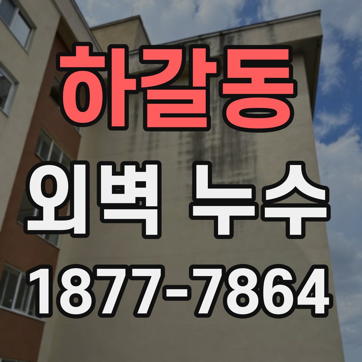 하갈동 외벽 누수
