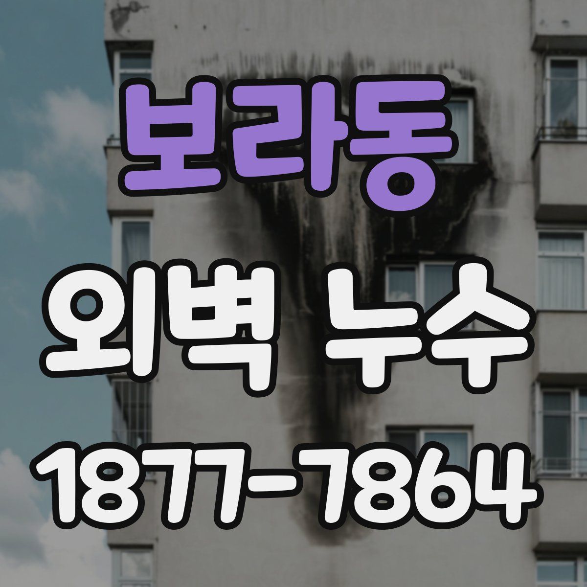 보라동 외벽 누수