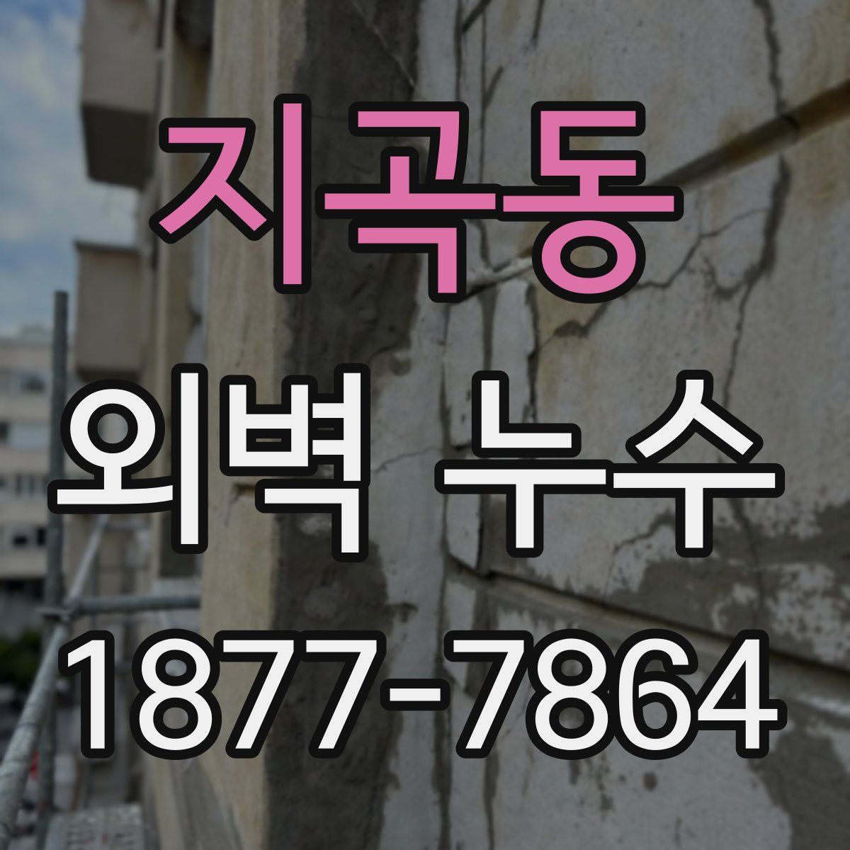 지곡동 외벽 누수