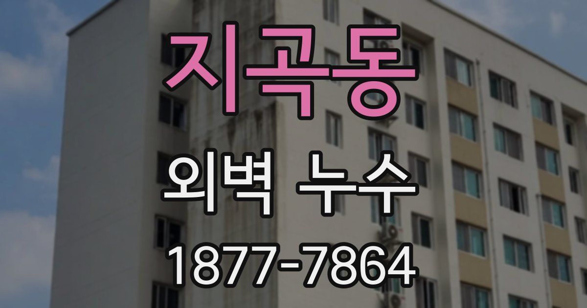 지곡동 외벽 누수