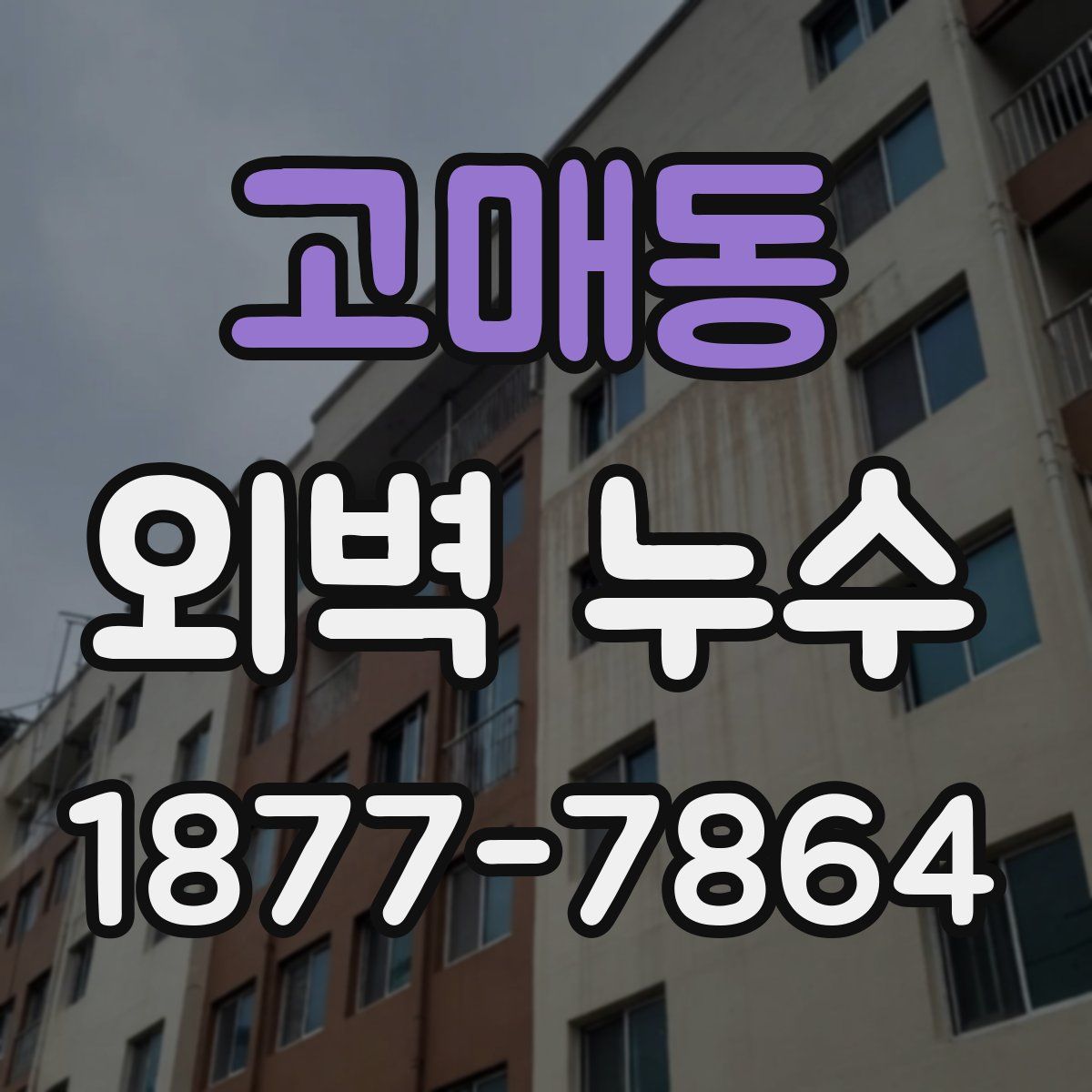 고매동 외벽 누수
