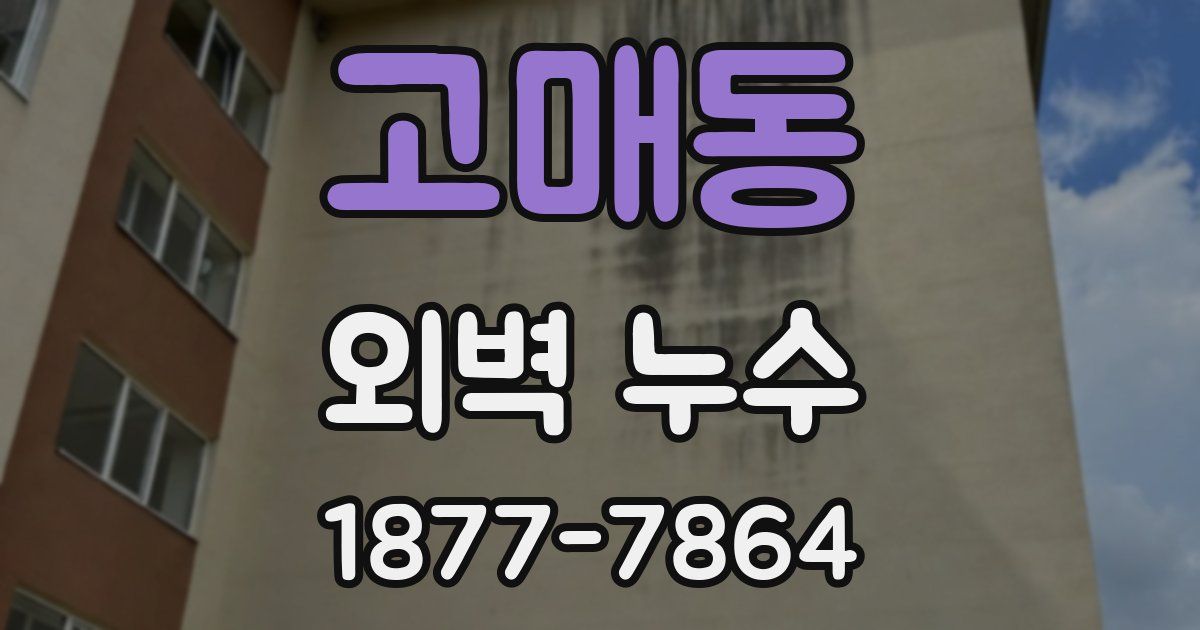 고매동 외벽 누수