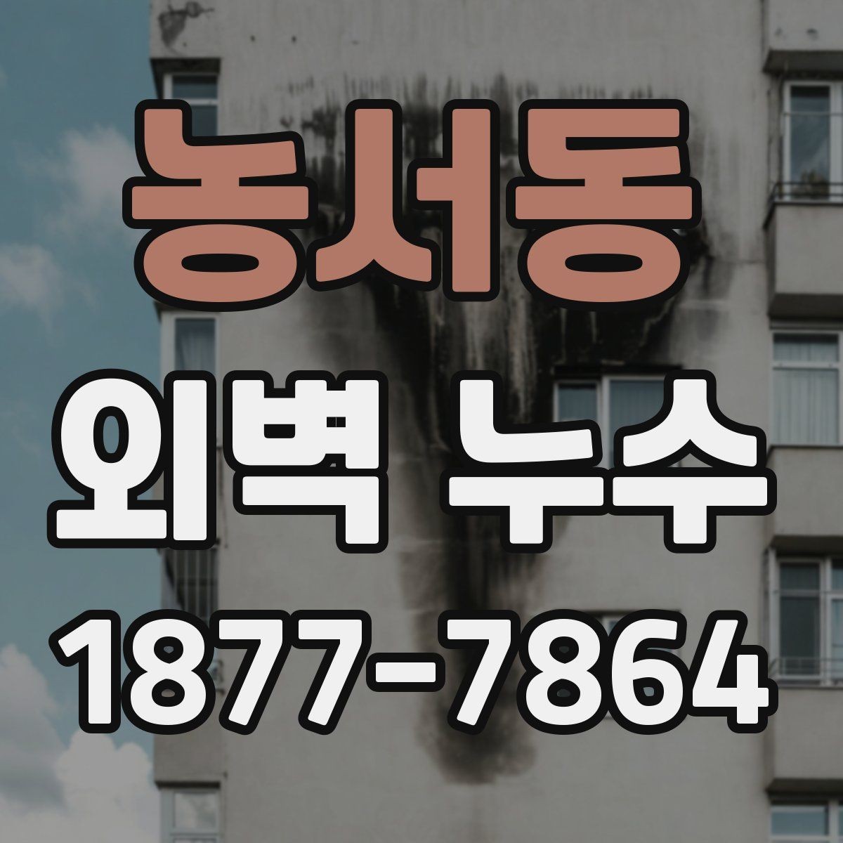농서동 외벽 누수 보수 방법은 어떤 차이가 있을까