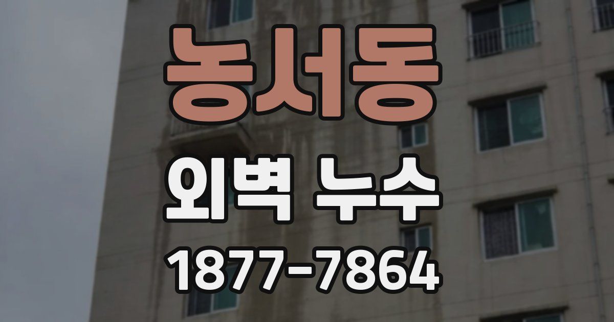 농서동 외벽 누수