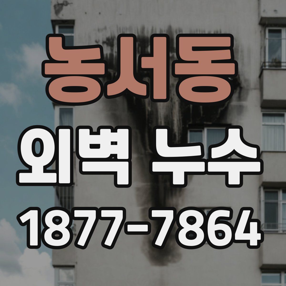 농서동 외벽 누수