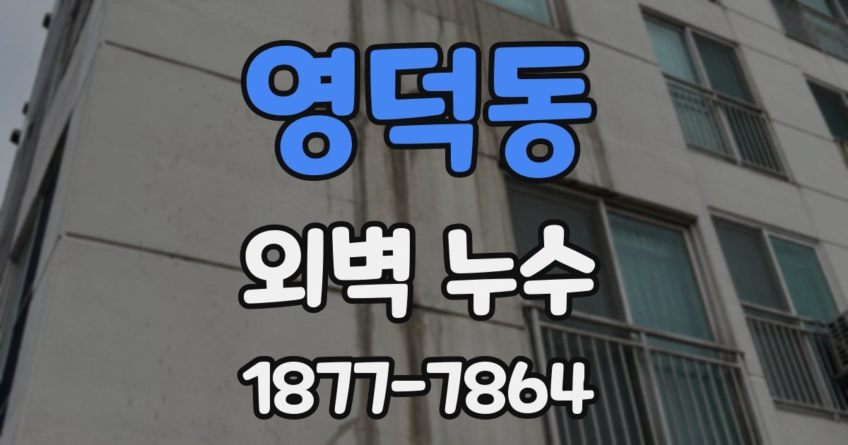 영덕동 외벽 누수