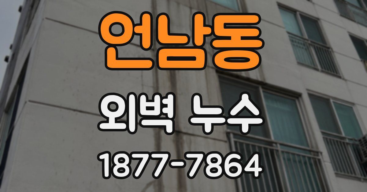 언남동 외벽 누수